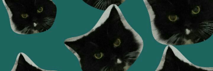 araaichi's profile banner image