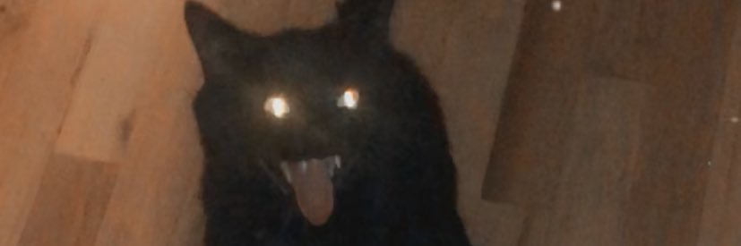 patriciartotten's profile banner image