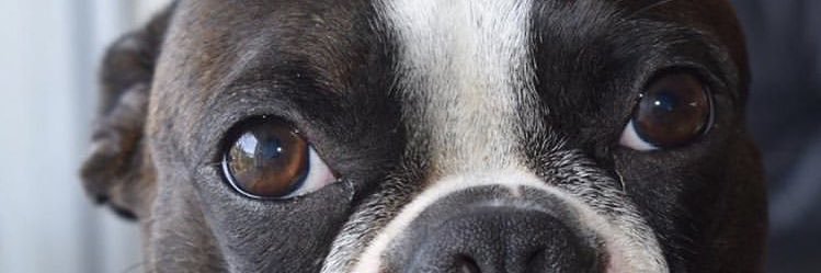 hanswinkelried's profile banner image