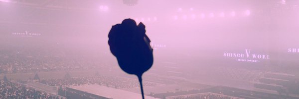 Lonishania Profile Banner