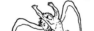 Diceros35's profile banner image