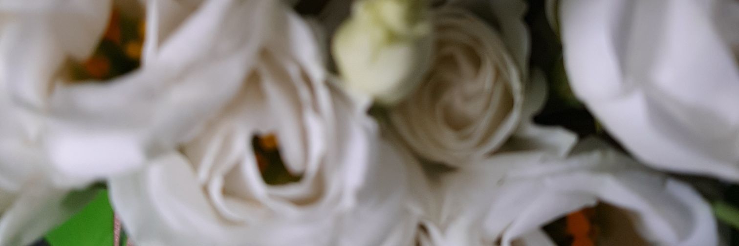 dewnunee's profile banner image