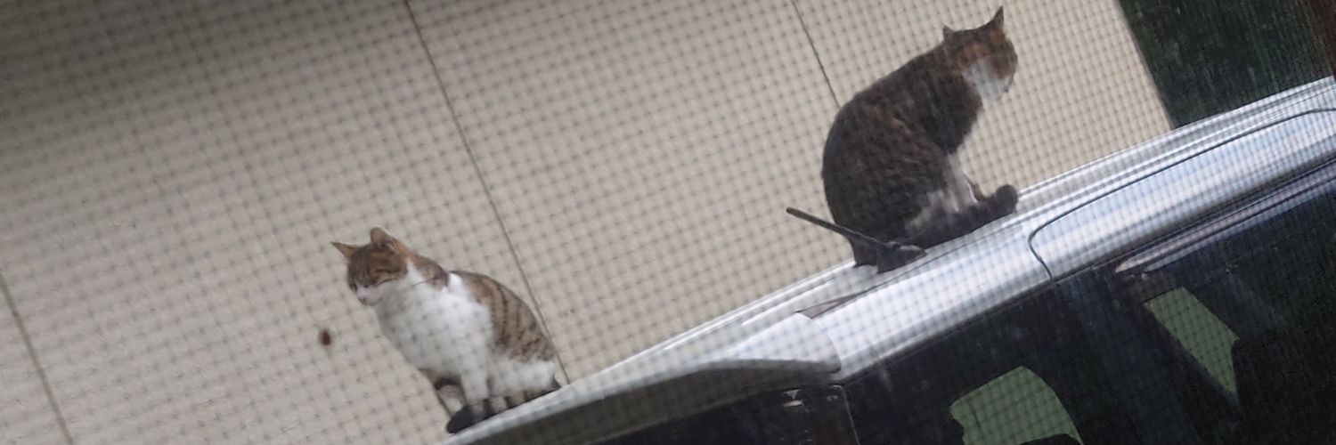猫神ねこ。@メンタルやられました('A`) banner