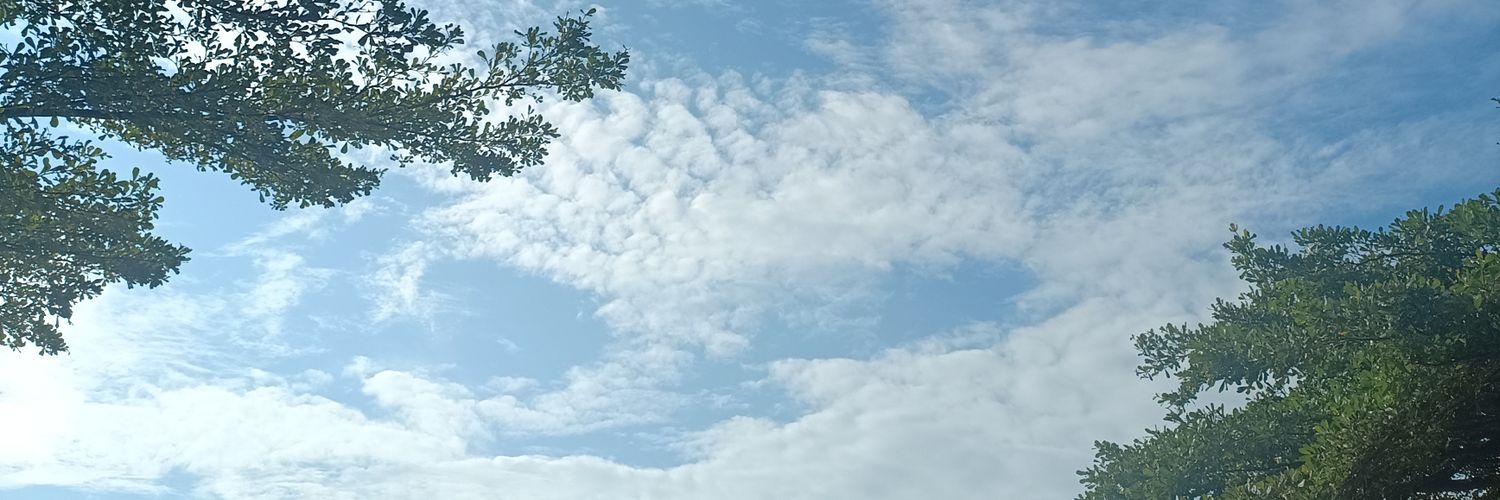 uzhmah's profile banner image