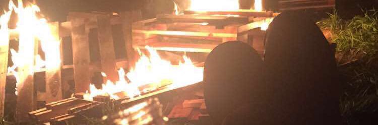 morganbogart's profile banner image
