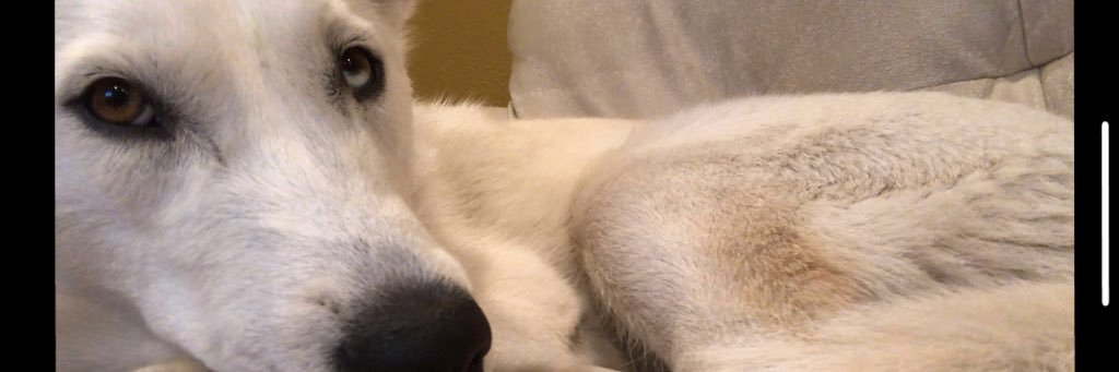 zacharygerald's profile banner image