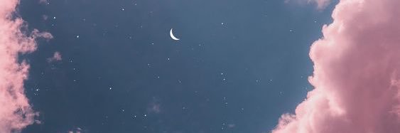 Poleiforr's profile banner image