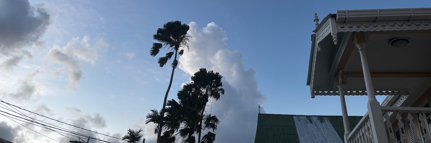 Katy Thompson banner