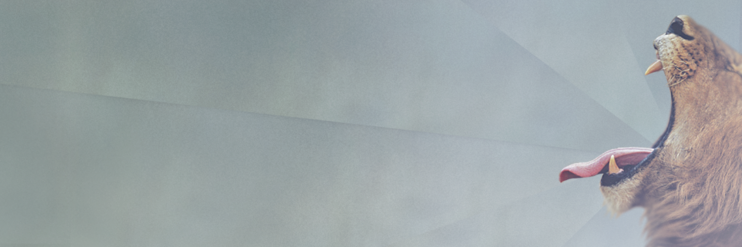 superskok's profile banner image