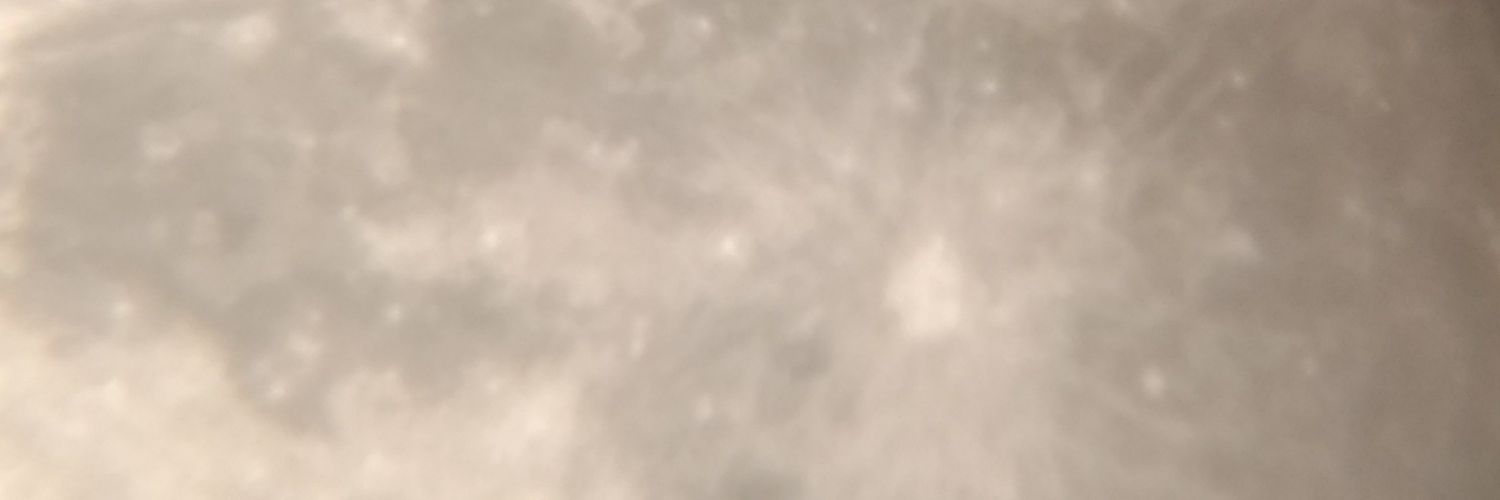 madera_ricalde's profile banner image