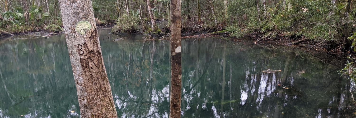 Samo Reincarnated as Pompey's Elephants banner