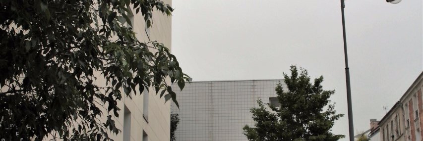 EureDidot's profile banner image