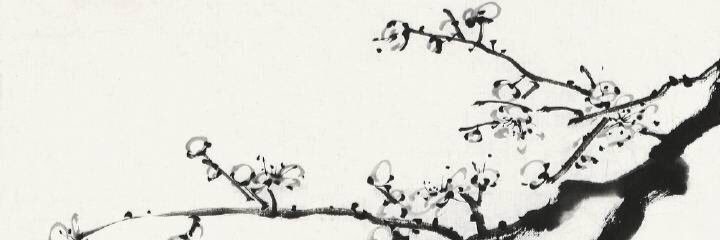 雪千寻 banner