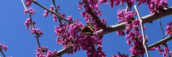 KAMER0N Profile Banner