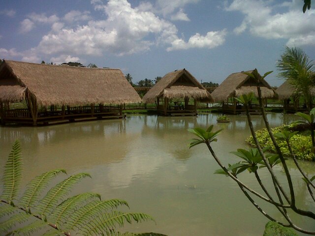 macanseram's profile banner image
