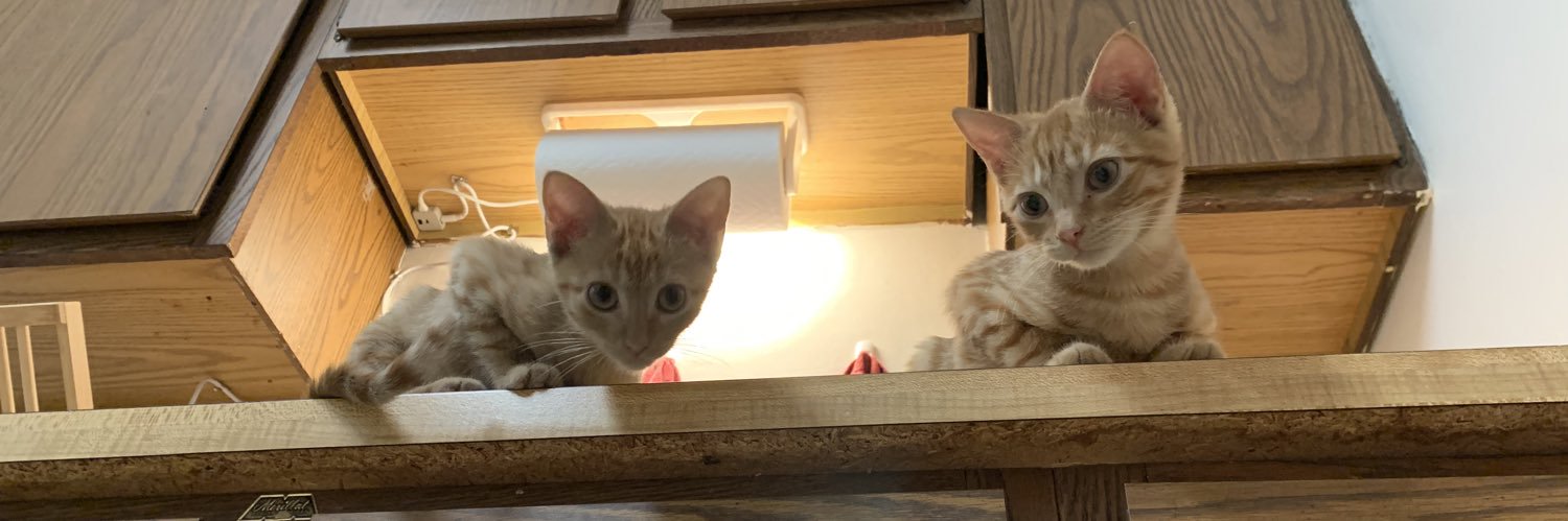 KDrawbaugh's profile banner image
