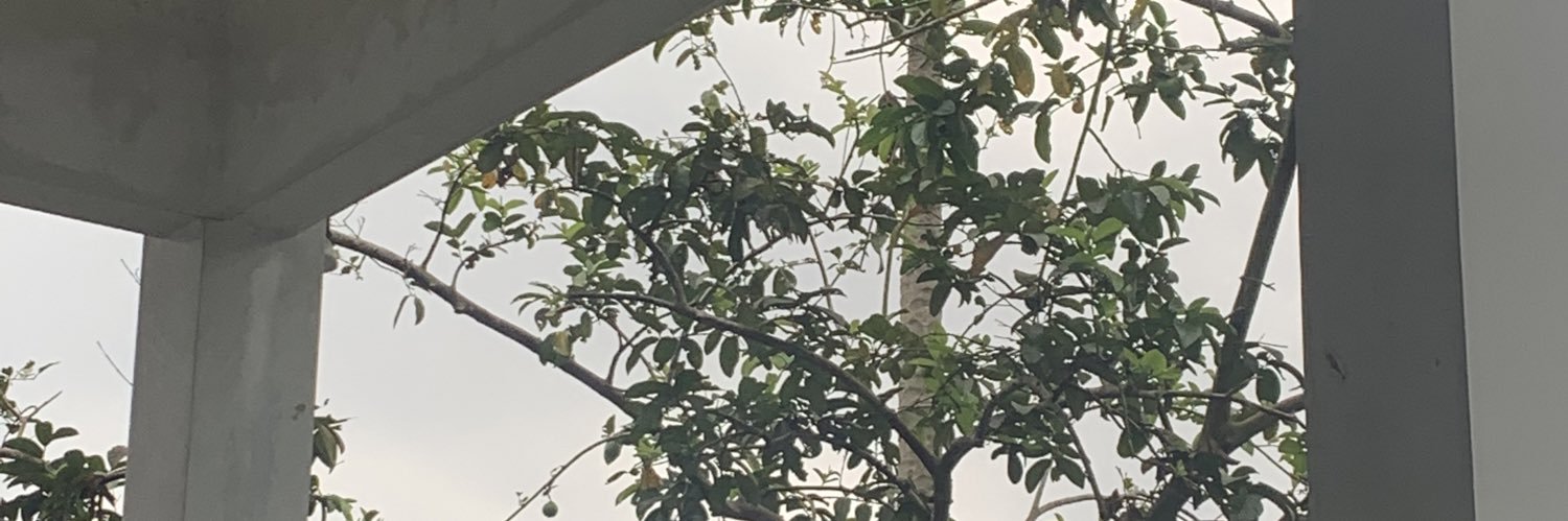 🍟🧚🥵 banner