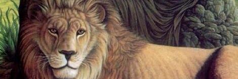 josefkandi's profile banner image