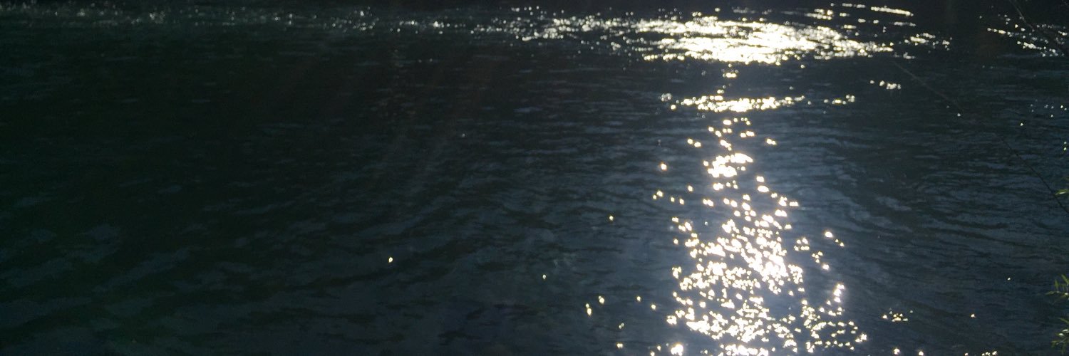donniebaybee's profile banner image