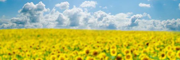 tashakay32's profile banner image