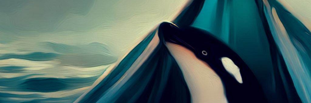 In Tents & Porpoises ⩜⃝ banner