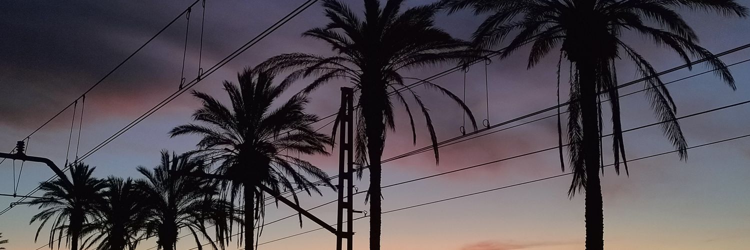 Vicenç Mas banner