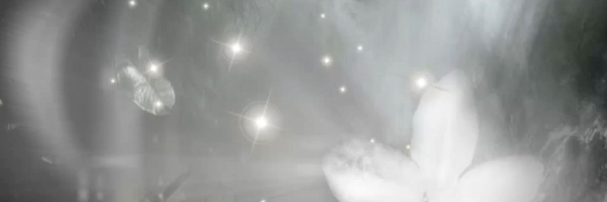 truvocaloid's profile banner image
