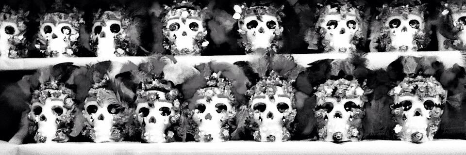 reptilesco's profile banner image