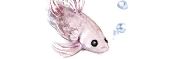 こうσ(´･ω･`)？ banner