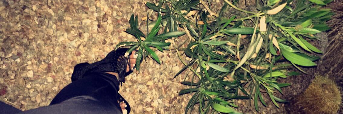 _dashayaaa's profile banner image