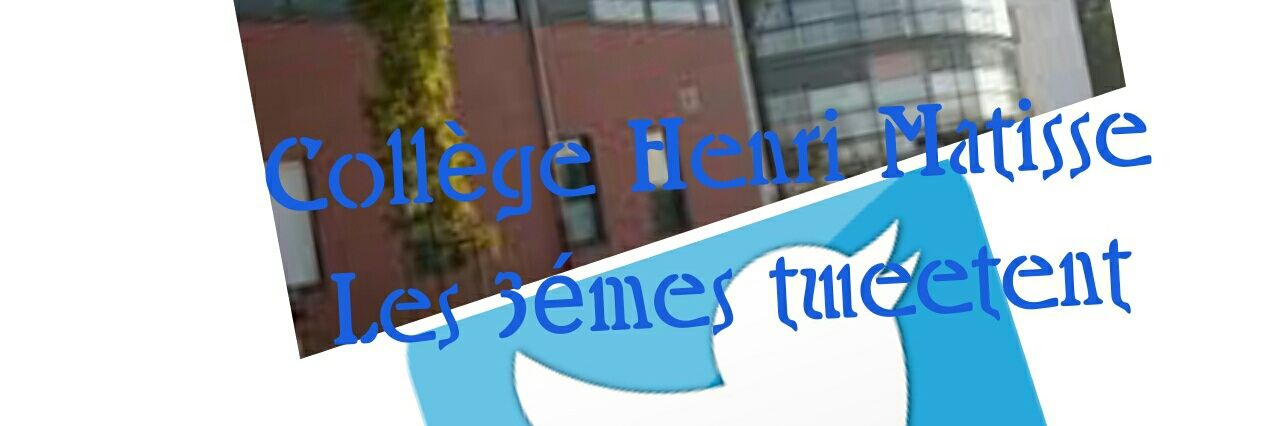 Orientatweet_3e's profile banner image