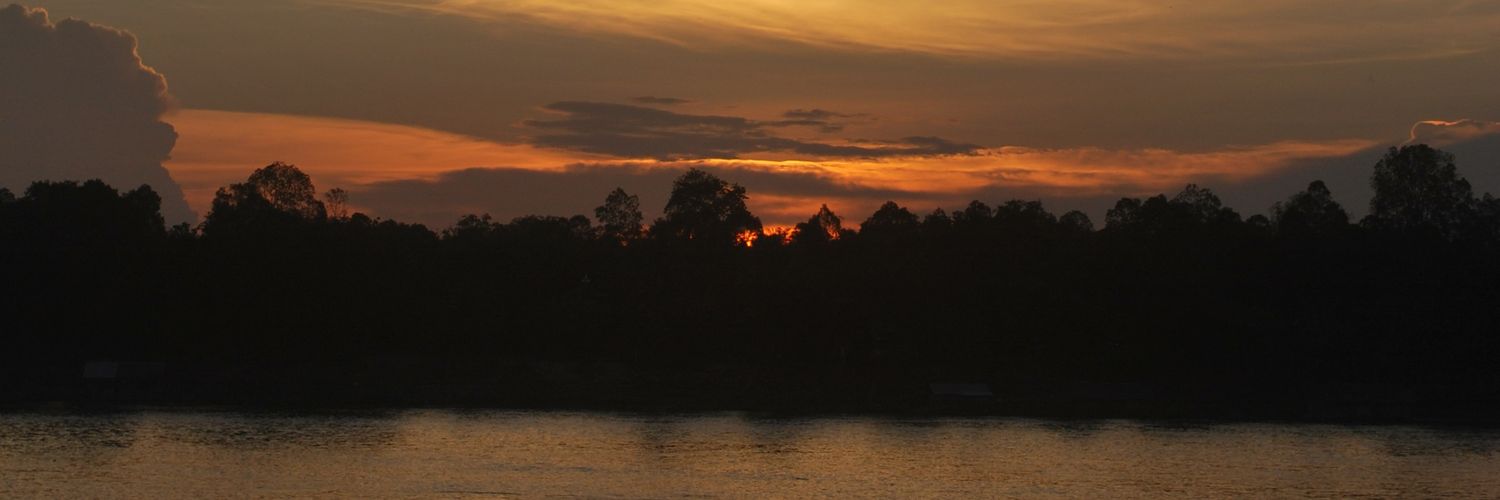 pandupasa's profile banner image