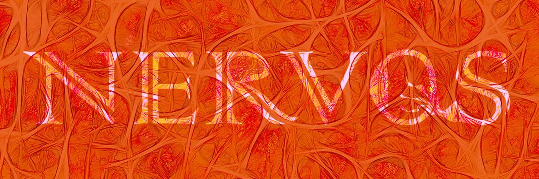 nervossite's profile banner image