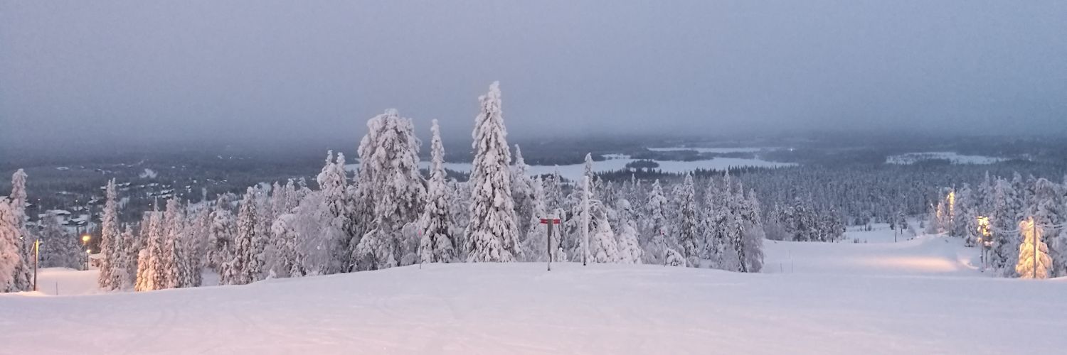 Lasse Paanala banner