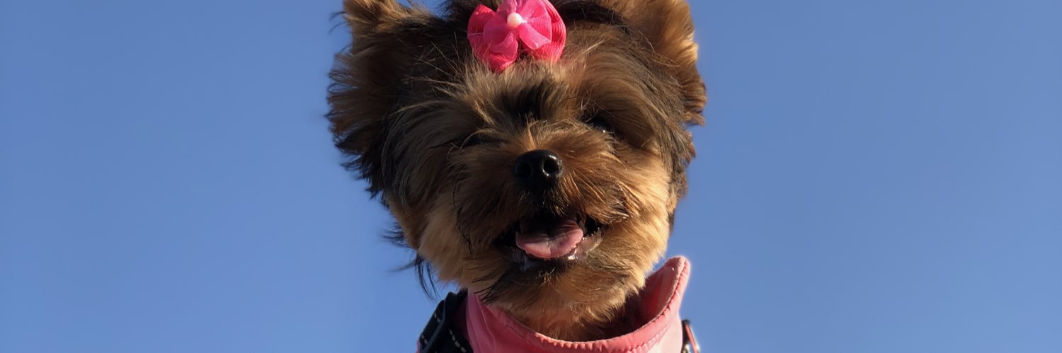 LilStyls's profile banner image