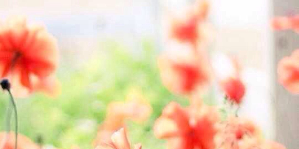 saurakho's profile banner image