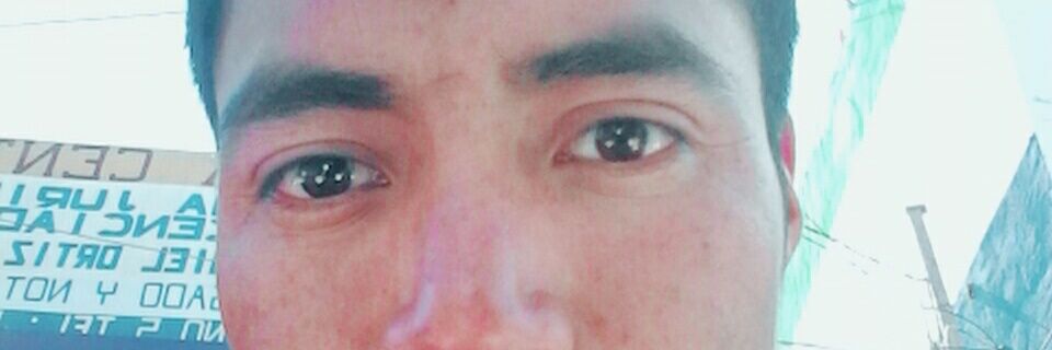 WilSantizo's profile banner image