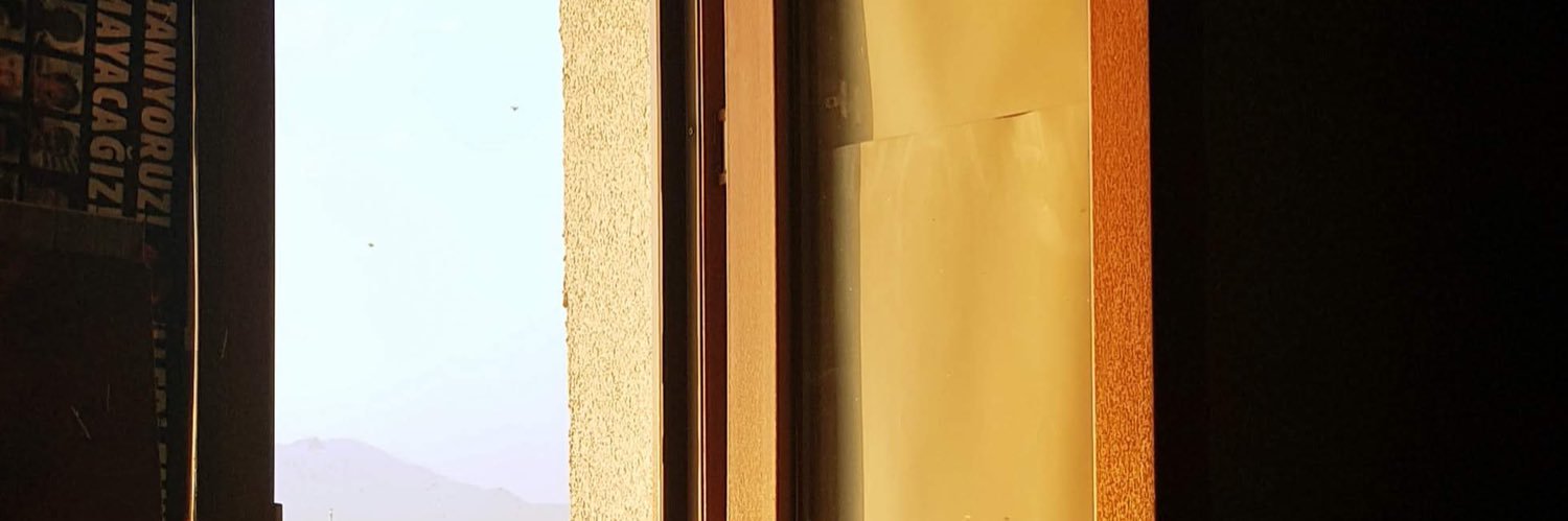 piroaxin's profile banner image