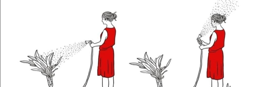 ElenaDCarmen's profile banner image