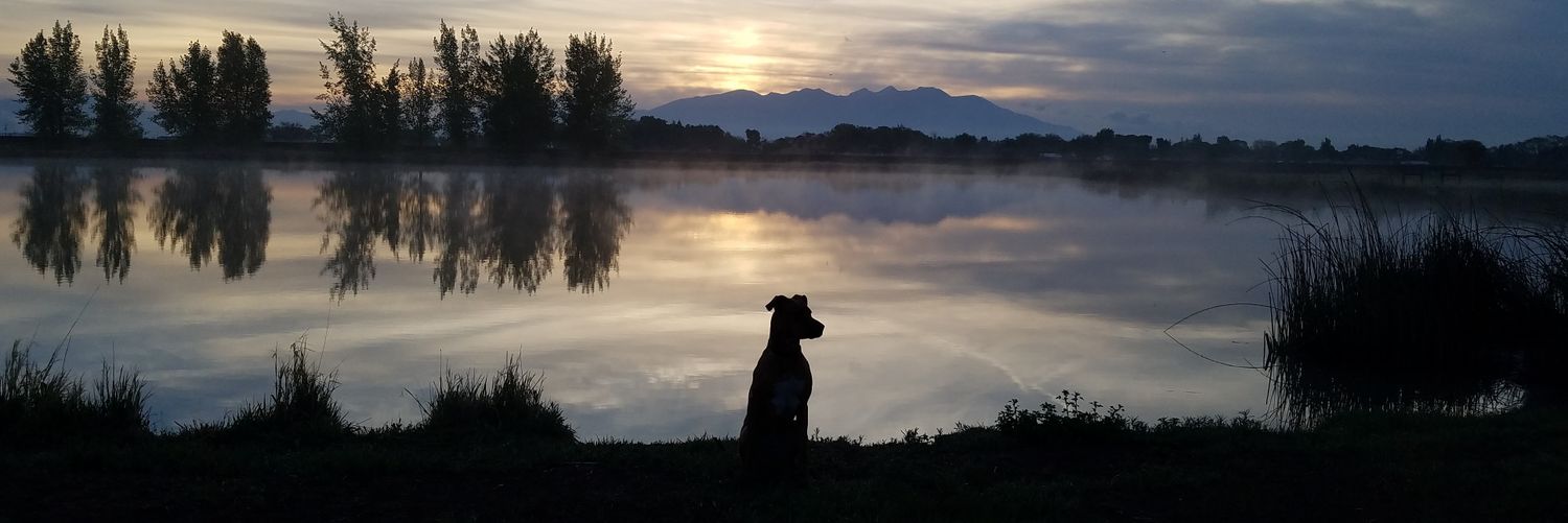 RachelGosney12's profile banner image
