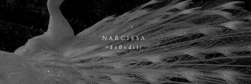 cissyblackrp's profile banner image