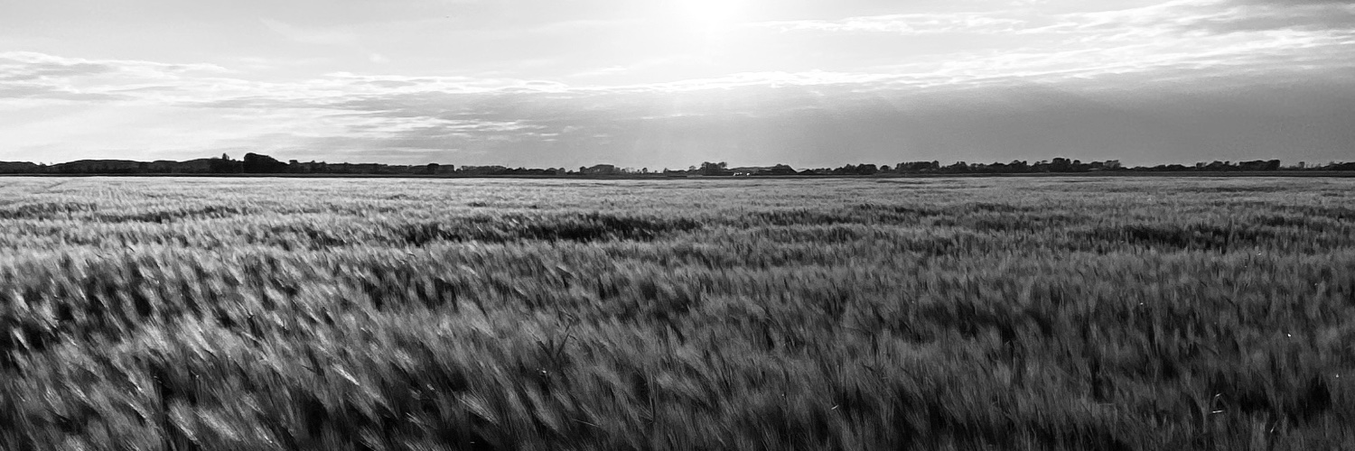 MatthiasHoekman's profile banner image