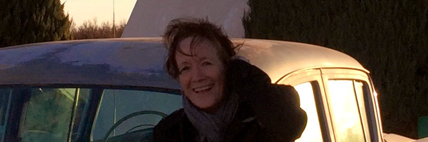 Helen Coghlan banner