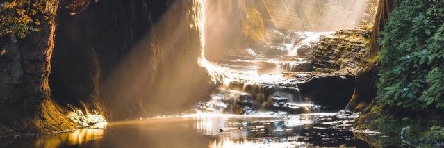 AutomaticHuman1's profile banner image