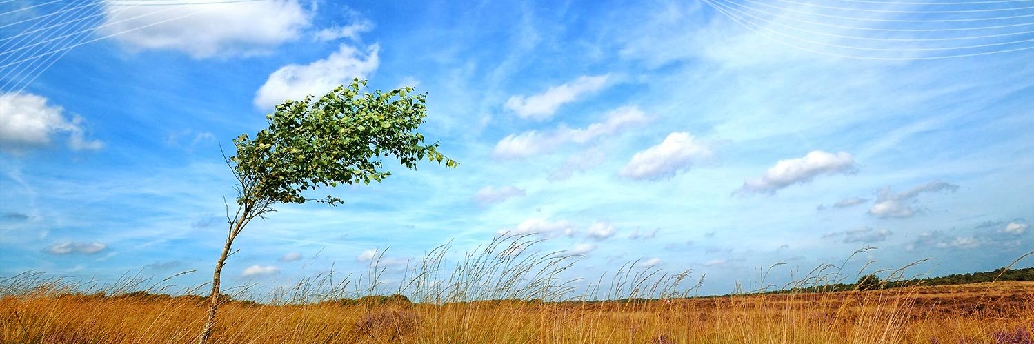 Much Posts banner