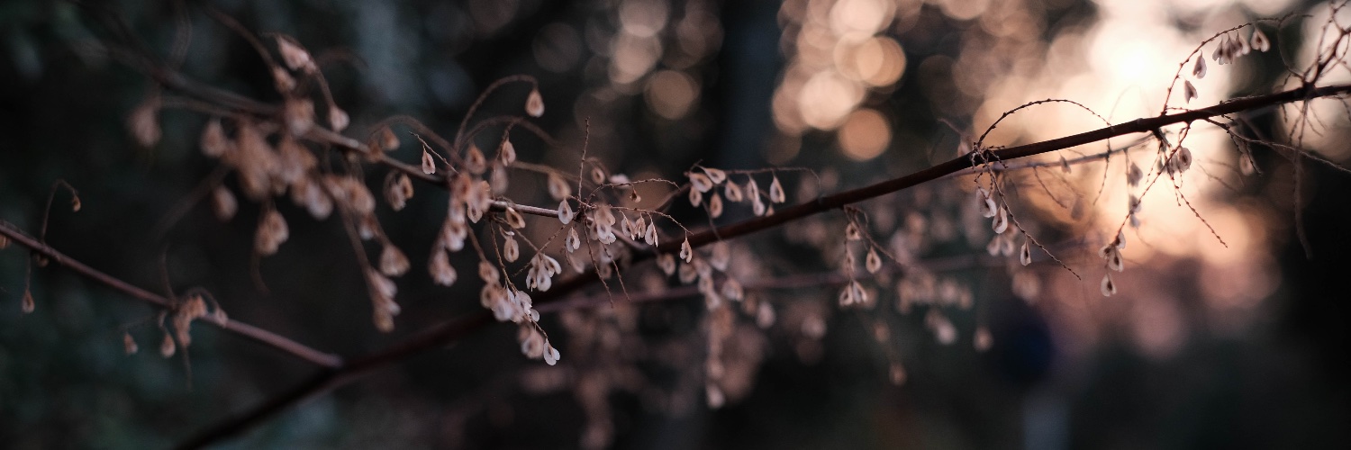 りんてん舎｜詩 短歌 俳句の古本屋 banner