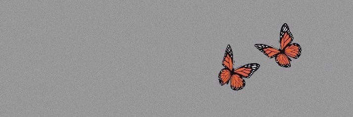 calliraesmith's profile banner image