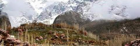 wajidahamd's profile banner image