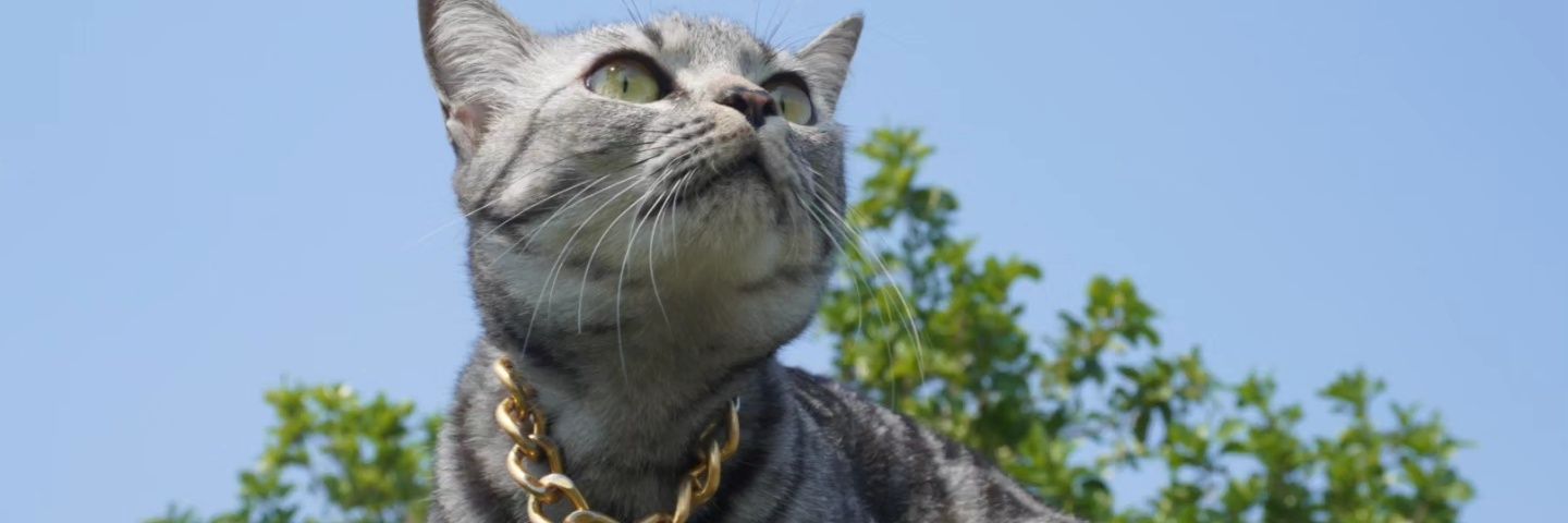 giftwitch's profile banner image