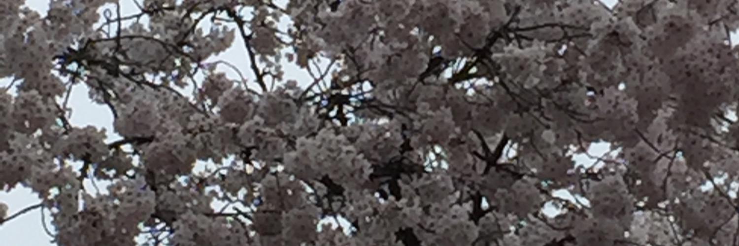 PatrickatTokyo's profile banner image